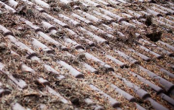 Cockley Cley roof cleaning companies